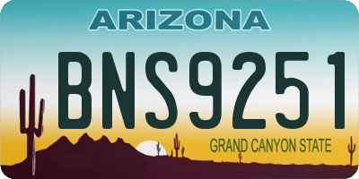 AZ license plate BNS9251
