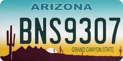 AZ license plate BNS9307