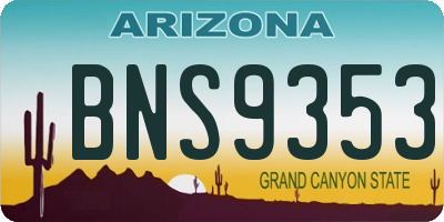 AZ license plate BNS9353