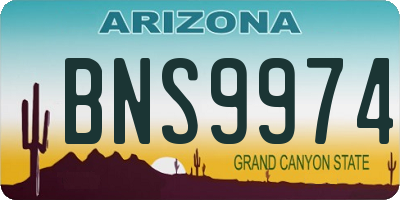 AZ license plate BNS9974