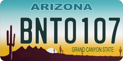 AZ license plate BNT0107