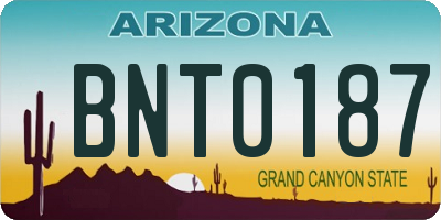 AZ license plate BNT0187