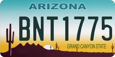 AZ license plate BNT1775