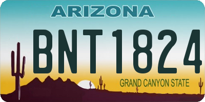 AZ license plate BNT1824