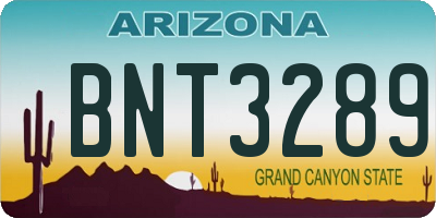 AZ license plate BNT3289
