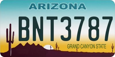 AZ license plate BNT3787