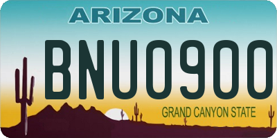AZ license plate BNU0900