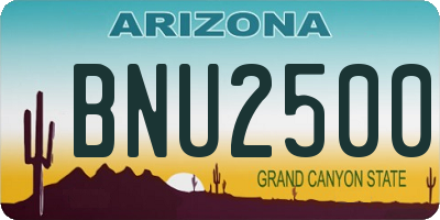 AZ license plate BNU2500