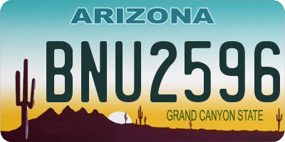 AZ license plate BNU2596