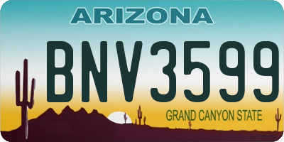 AZ license plate BNV3599