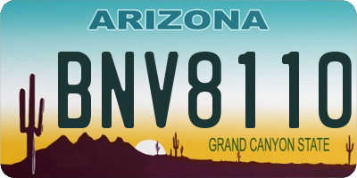 AZ license plate BNV8110