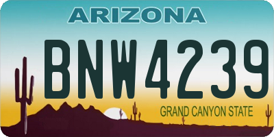 AZ license plate BNW4239