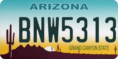 AZ license plate BNW5313