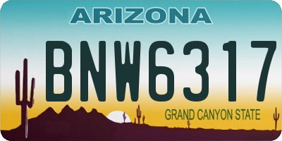 AZ license plate BNW6317
