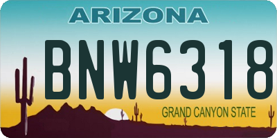 AZ license plate BNW6318