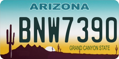 AZ license plate BNW7390