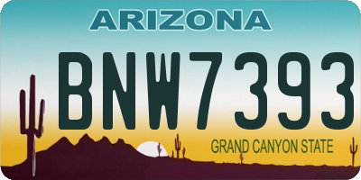 AZ license plate BNW7393