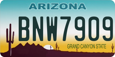 AZ license plate BNW7909