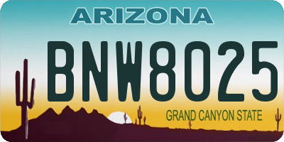 AZ license plate BNW8025