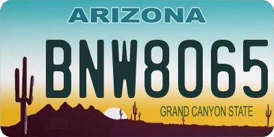 AZ license plate BNW8065