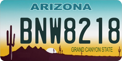 AZ license plate BNW8218