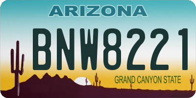 AZ license plate BNW8221