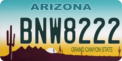 AZ license plate BNW8222