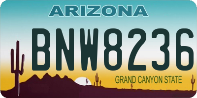 AZ license plate BNW8236