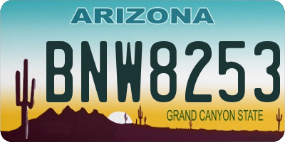 AZ license plate BNW8253