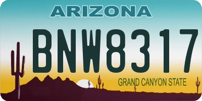 AZ license plate BNW8317