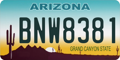 AZ license plate BNW8381