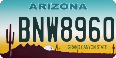 AZ license plate BNW8960