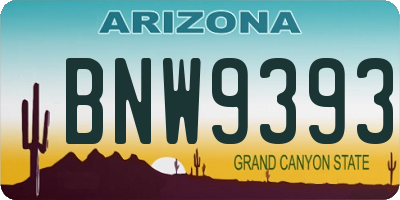 AZ license plate BNW9393