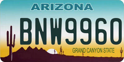 AZ license plate BNW9960