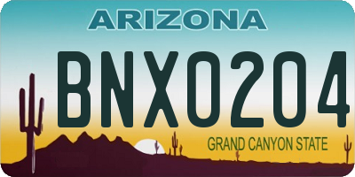 AZ license plate BNX0204