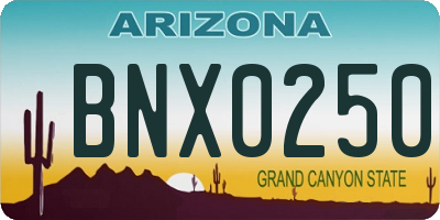 AZ license plate BNX0250