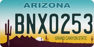 AZ license plate BNX0253