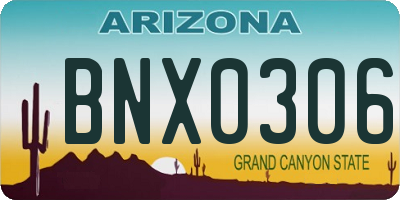 AZ license plate BNX0306