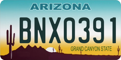 AZ license plate BNX0391
