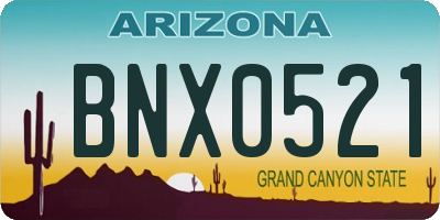 AZ license plate BNX0521
