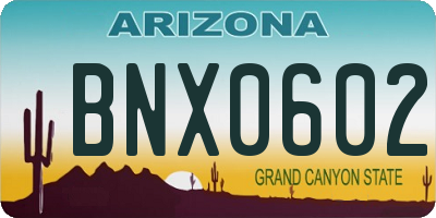 AZ license plate BNX0602