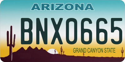 AZ license plate BNX0665