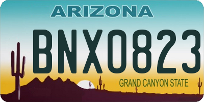 AZ license plate BNX0823