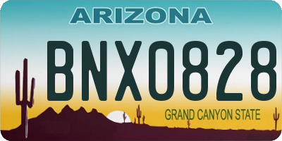 AZ license plate BNX0828