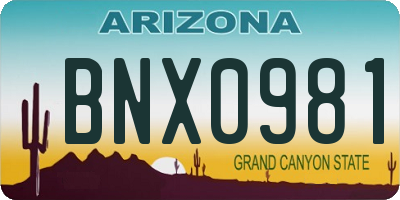AZ license plate BNX0981