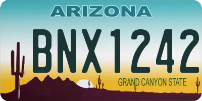 AZ license plate BNX1242