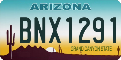 AZ license plate BNX1291