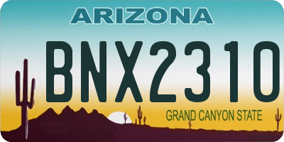 AZ license plate BNX2310