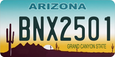 AZ license plate BNX2501
