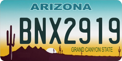 AZ license plate BNX2919